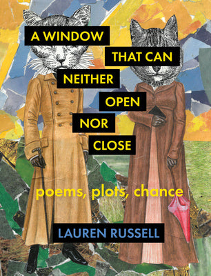 Window That Can Neither Open Nor Close: Poems, Plots, Chance, A Fashion