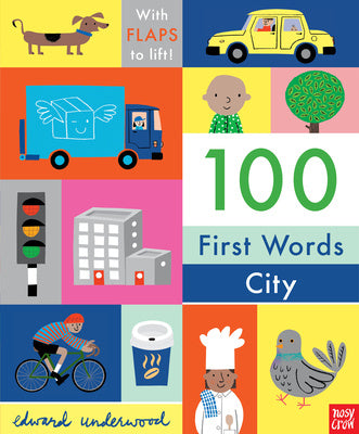 100 First Words: City: With Flaps to Lift For Cheap