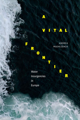 Vital Frontier: Water Insurgencies in Europe, A Discount