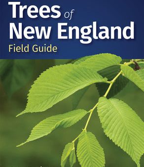 Trees of New England Field Guide Discount