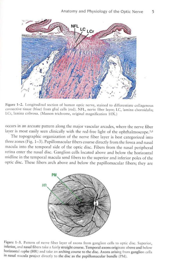 Optic Nerve Disorders For Discount